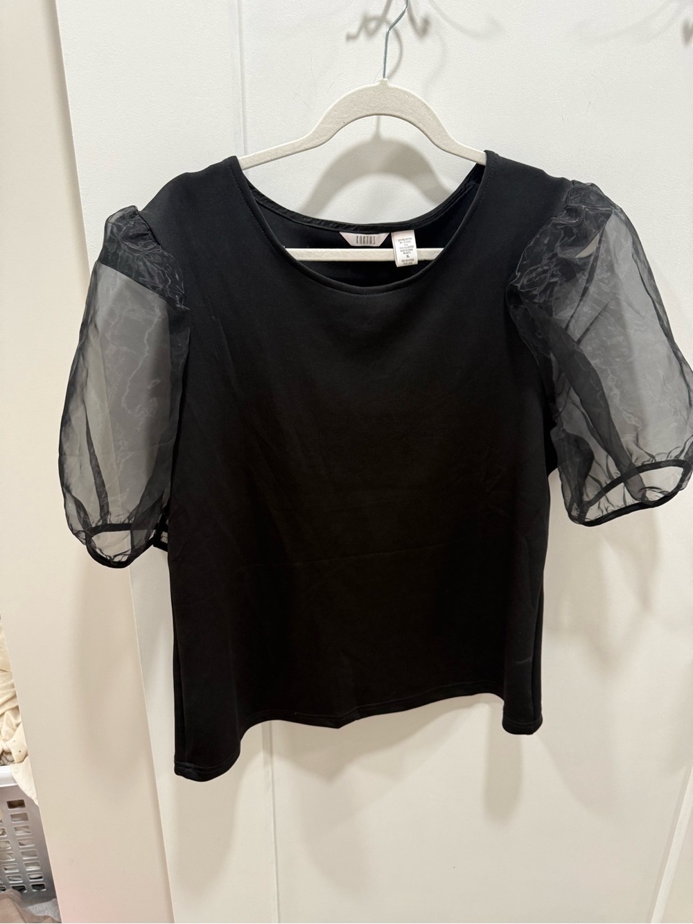 Kaktus Black Puff Sleeve Sheer Top